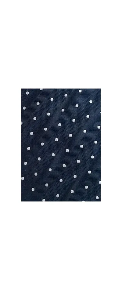 Cravatta XXL business pois